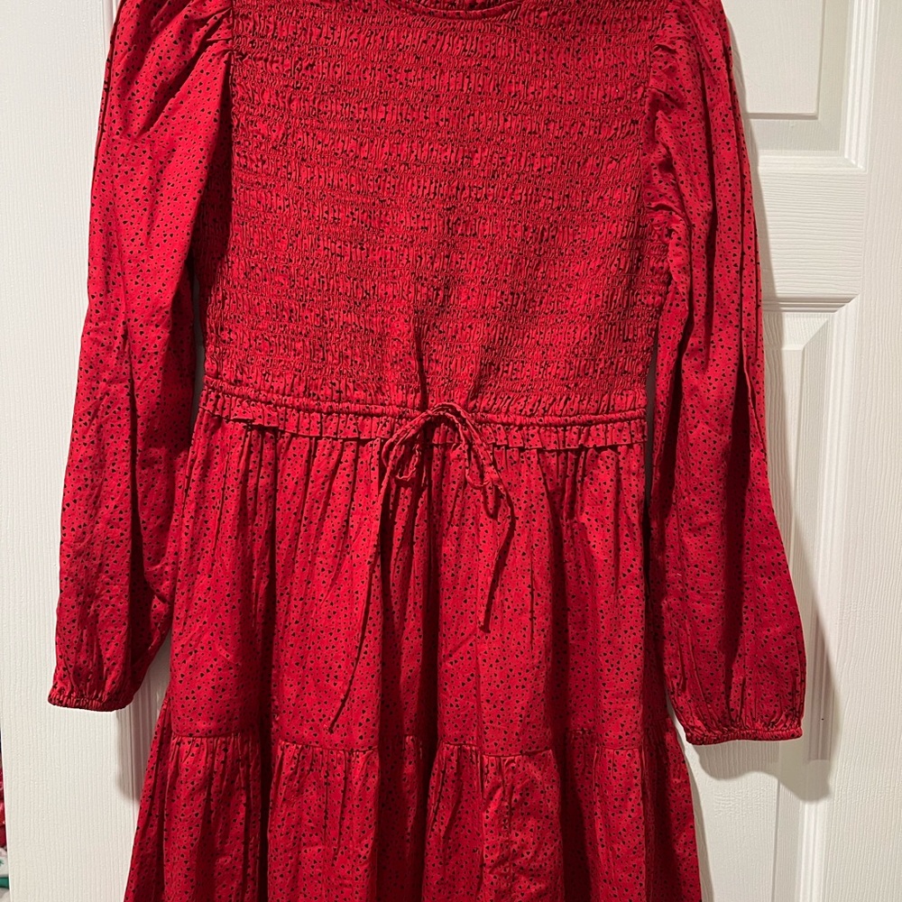 Gap Red Dress